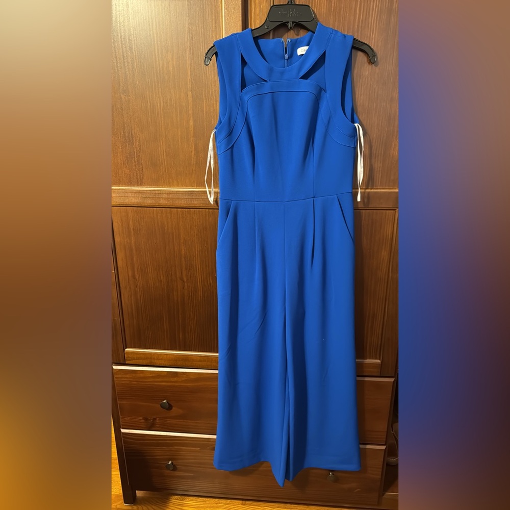 Calvin Klein Collection Blue Jumpsuit